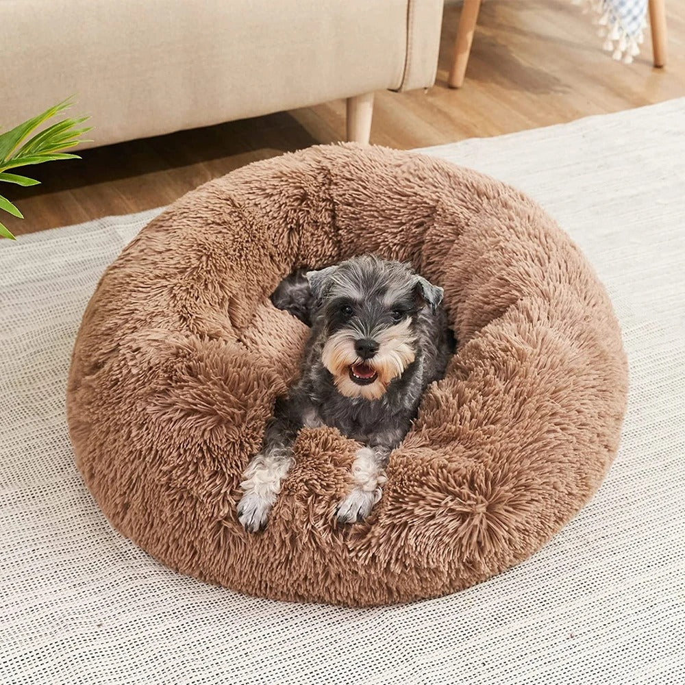 Coussin Douillet pour Chien - Lit Canin Lavable