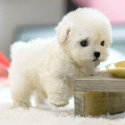 Realistische Elektronische Puppy Knuffel