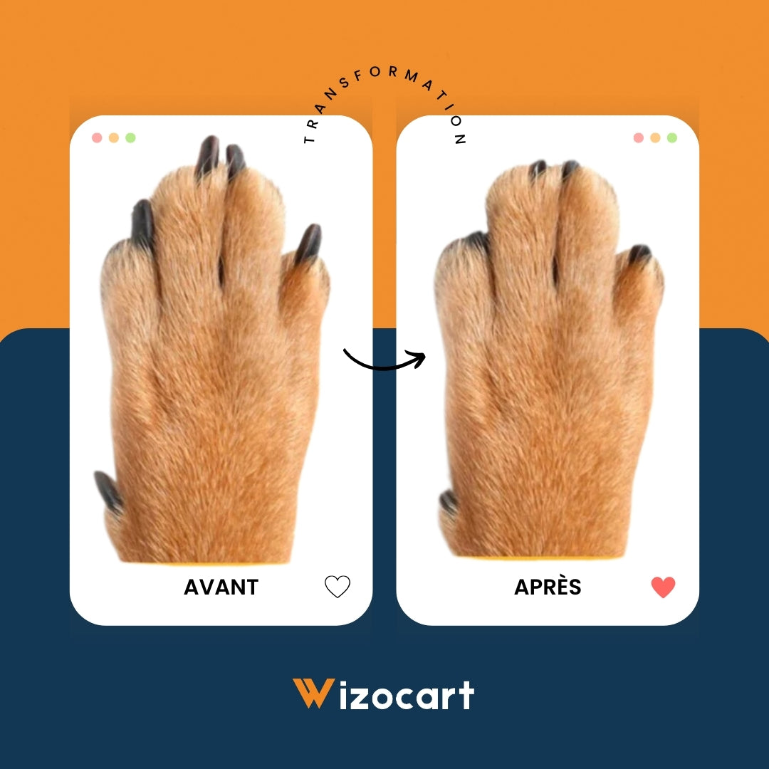 Praktische 2-in-1 Nagelknipper voor Hond en Kat
