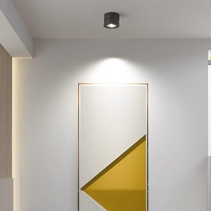 Ronde verstelbare LED-inbouwlamp