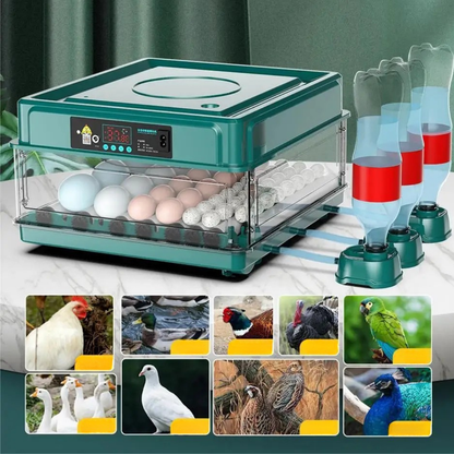Automatische Eierbroedmachine met Draaifunctie en Temperatuurregeling