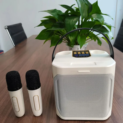 Krachtige Draagbare Bluetooth Speaker met Karaoke Functie