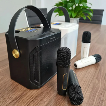 Krachtige Draagbare Bluetooth Speaker met Karaoke Functie