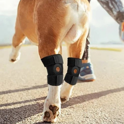 Orthopedische Hondenkniebrace voor Gewrichten
