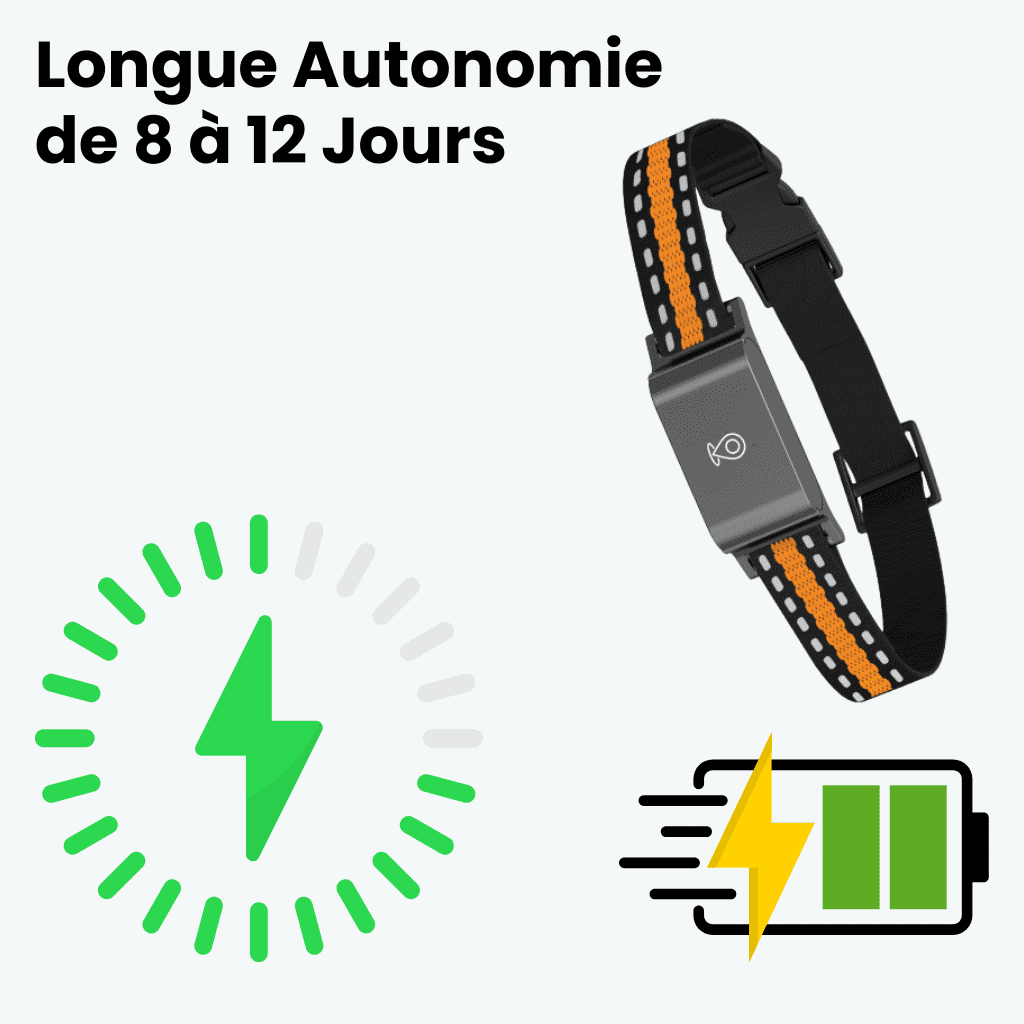 Marcherelle™ – Collier GPS Chien Sans Abonnement, Suivi en Temps Réel