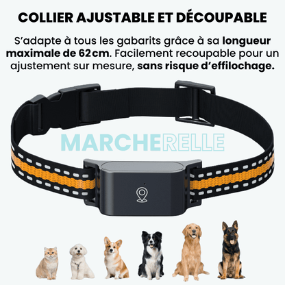 Marcherelle™ – Collier GPS Sans Abonnement avec Suivi en Temps Réel