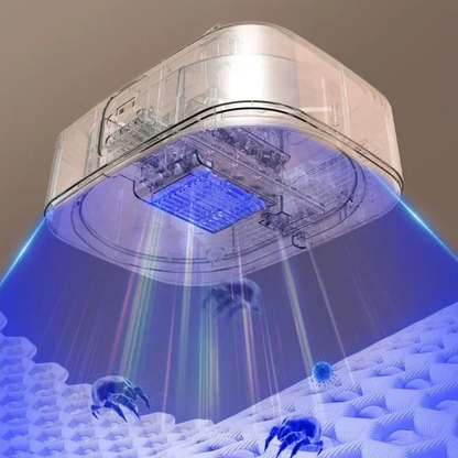 Opvouwbare Elektrische Föhn met 3-in-1 Functie