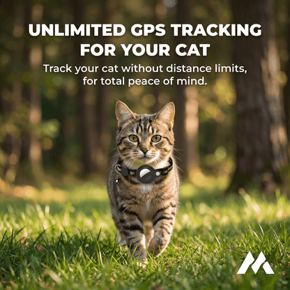Macherelle™ – GPS-halsband voor katten, geen abonnement nodig | Compatibel met iOS en Android